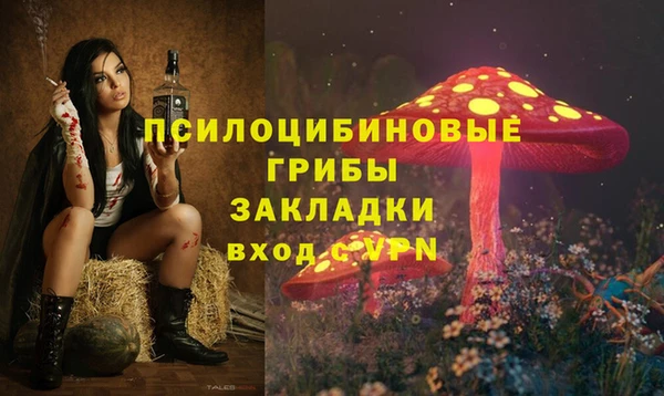 эйфоретик Надым